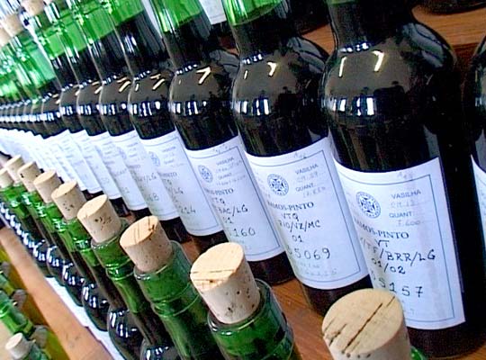 Отечественные виноделы составляют конкуренцию иностранным производителям